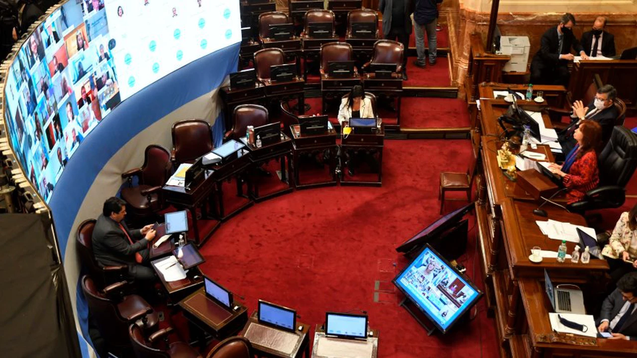 Primera sesión virtual del Senado: cuáles fueron los DNU dictados por Fernández que aprobó la Cámara