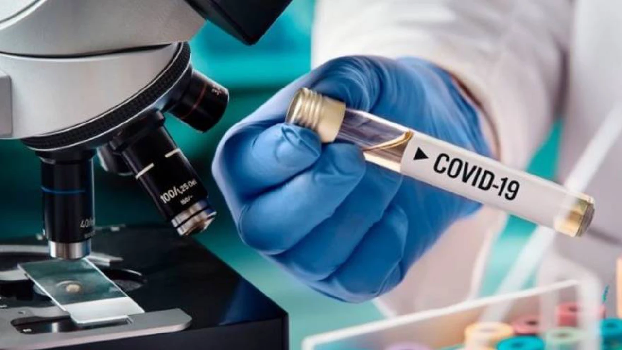 ¿Qué pasará con el coronavirus en 2021?: la OMS hizo un preocupante pronóstico