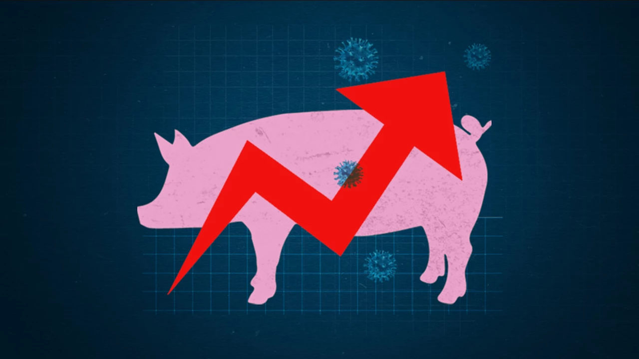 China y la producción de cerdos en Argentina: cuenta regresiva para un acuerdo multimillonario en críticas y dólares