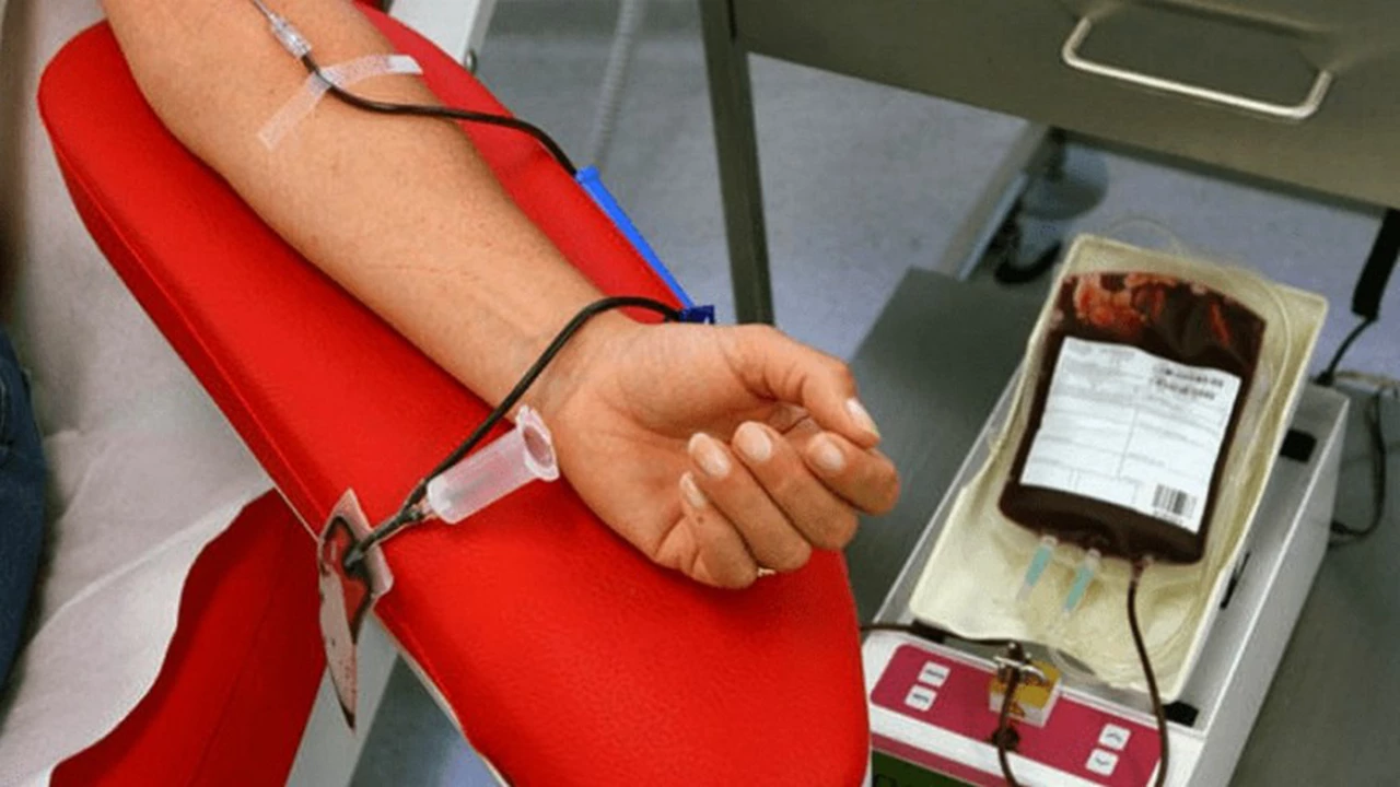 Donación de sangre: tras una baja del 80%, buscan recuperar los niveles prepandemia