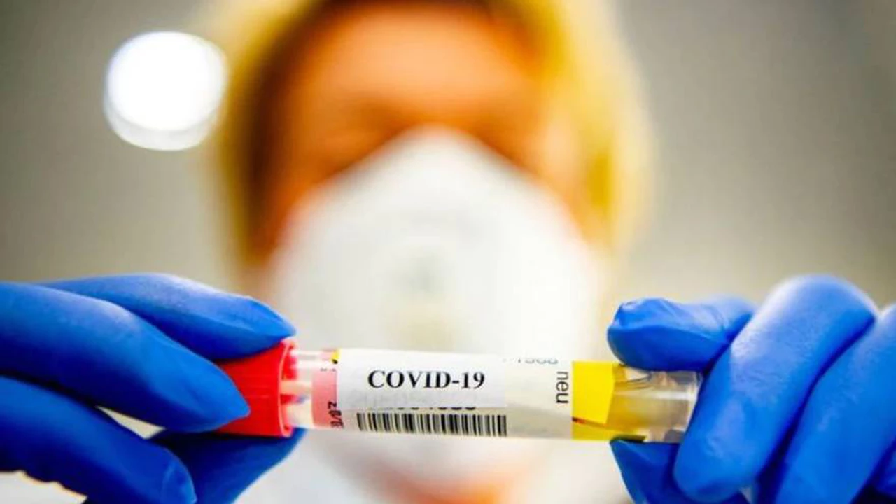 Coronavirus en Argentina: récord de 241 muertos y 7.043 nuevos contagios en las últimas 24 horas