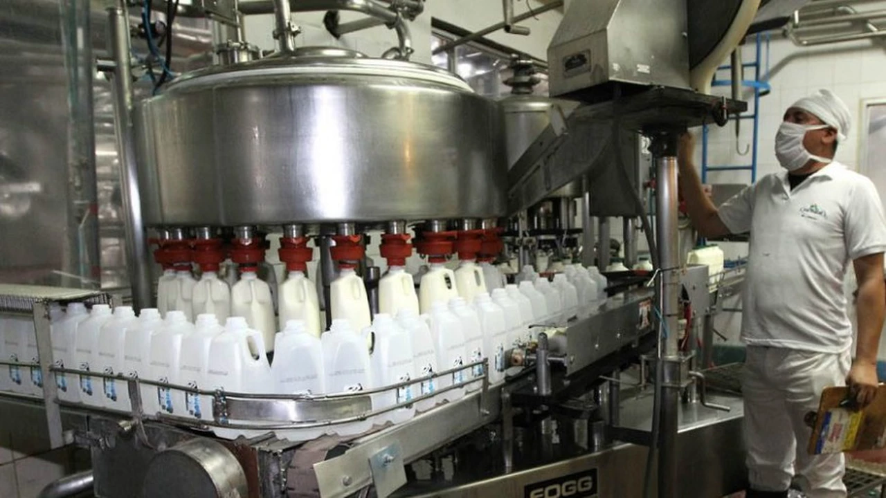 Ante la "crítica situación" del sector, la industria lechera rechaza las medidas gremiales