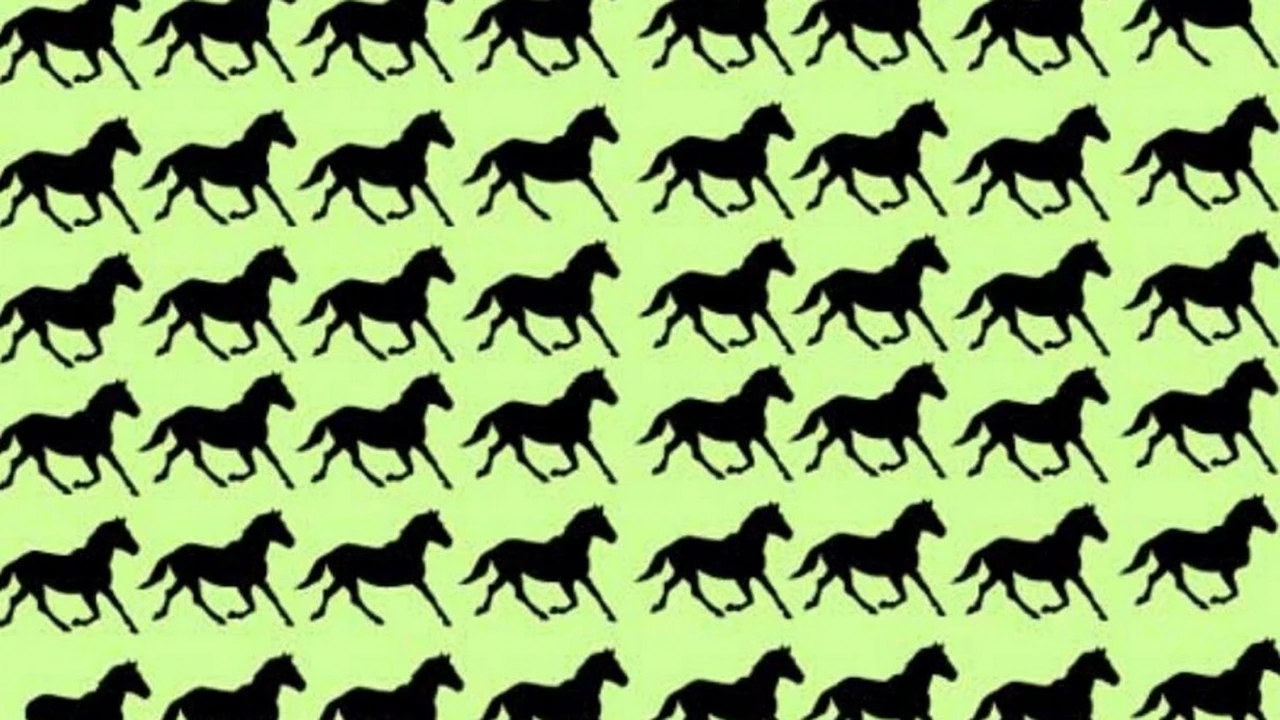 ¿Cuántos caballos distintos ves?: el acertijo visual que tenés que resolver en solo 10 segundos