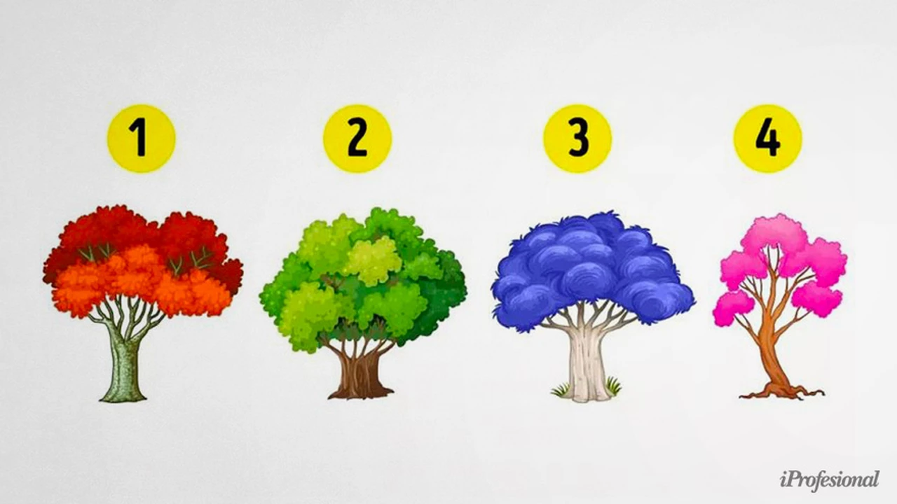 ¿Cuál de estos 4 árboles elegís?: este test te dice qué emoción te representa