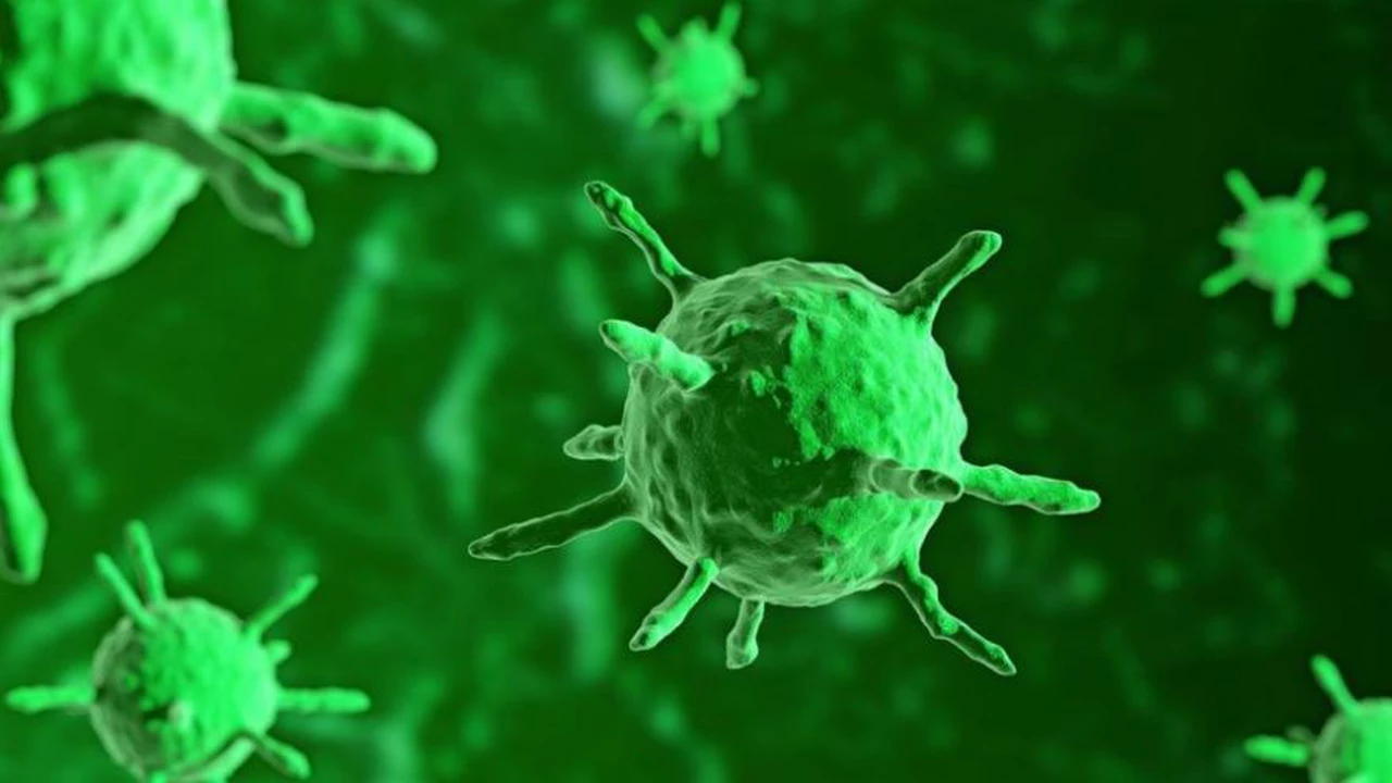 Alerta mundial: en plena pandemia del coronavirus, reapareció este virus mortal en China