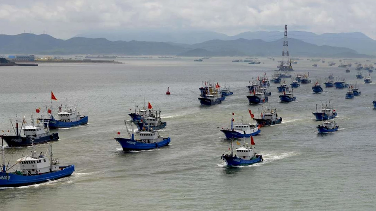 China arrasa los mares: cómo opera la flota de pesca ilegal que depreda con apoyo oficial y cuál es su actividad en Argentina