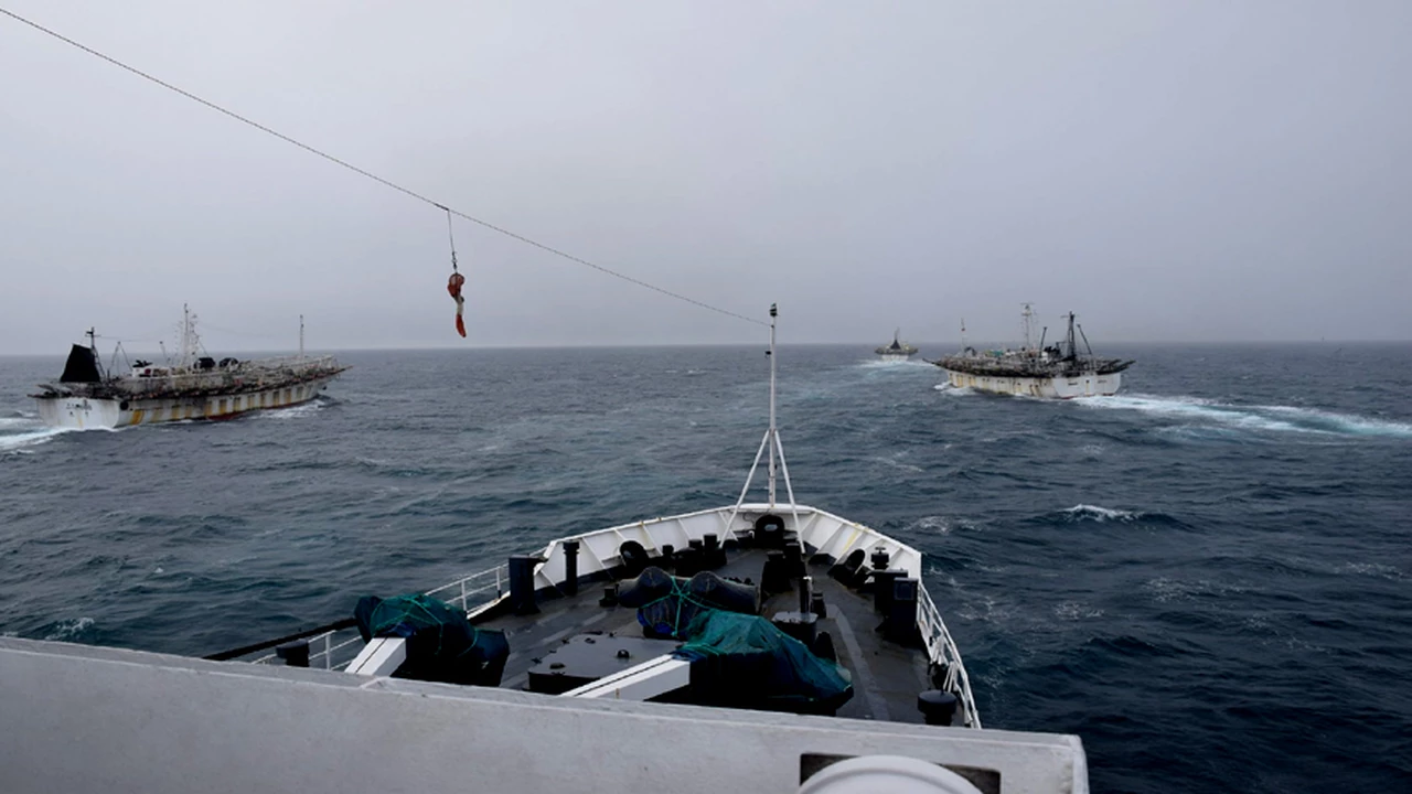 Mar del saqueo: en plena polémica por las vacunas, así depreda hoy la flota china frente a la Patagonia