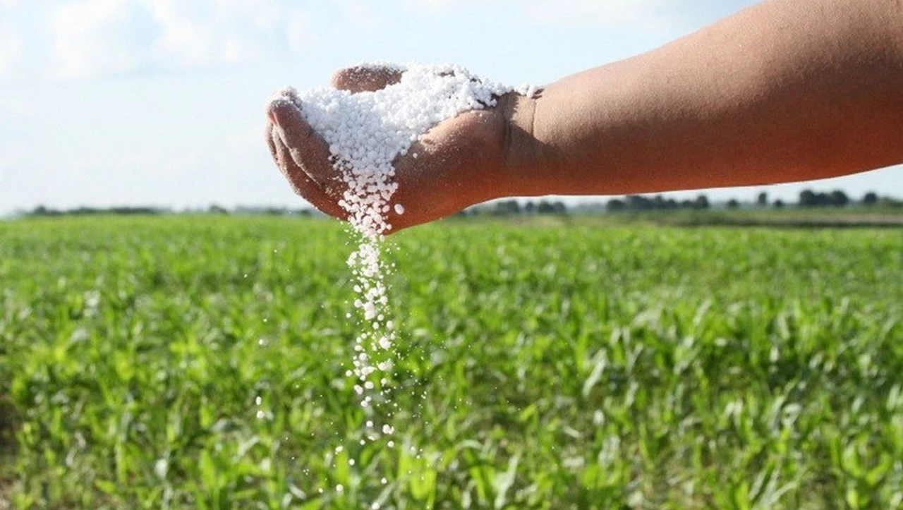 Profértil ya produce el 60% de sus fertilizantes a partir de la energía eólica: ¿cómo lo logró?