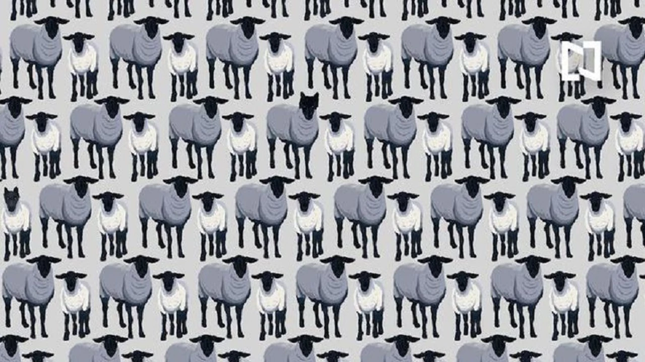 Encontrar a los 6 lobos disfrazados de ovejas: el desafío que pone a prueba tu agudeza visual