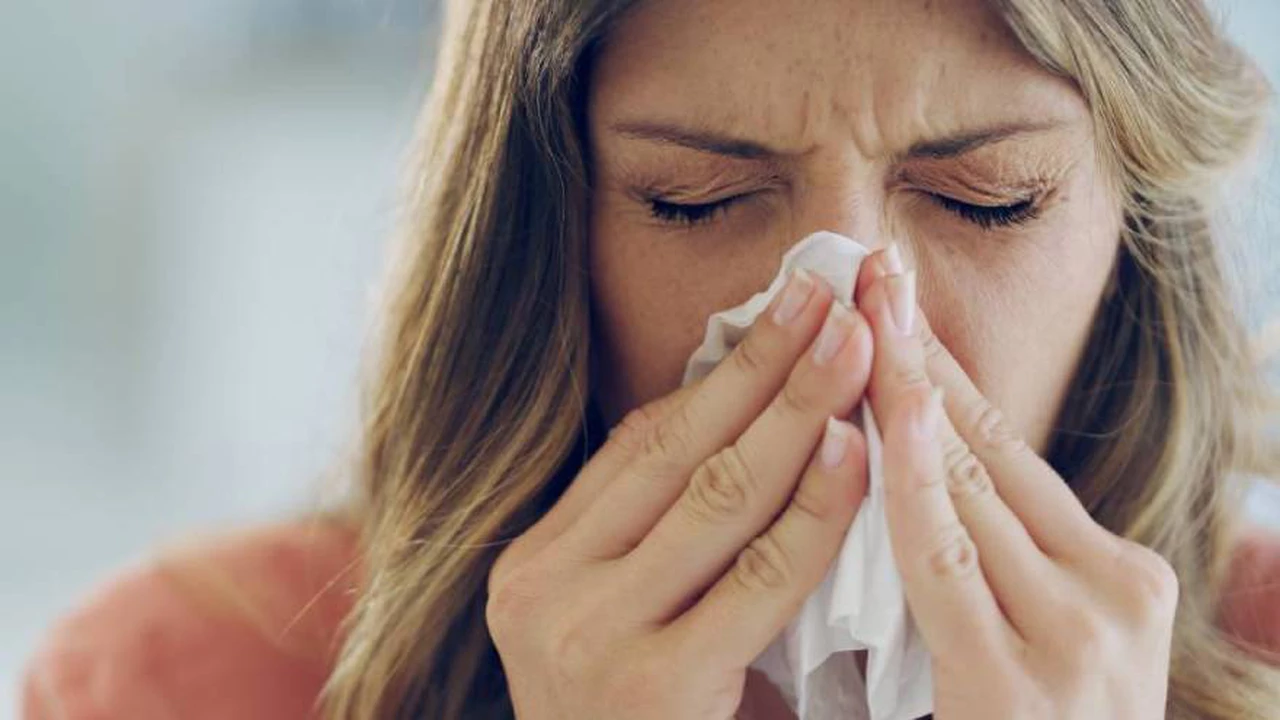 Llegó la primavera, ¿cómo prevenir la sensibilidad a las alergias?