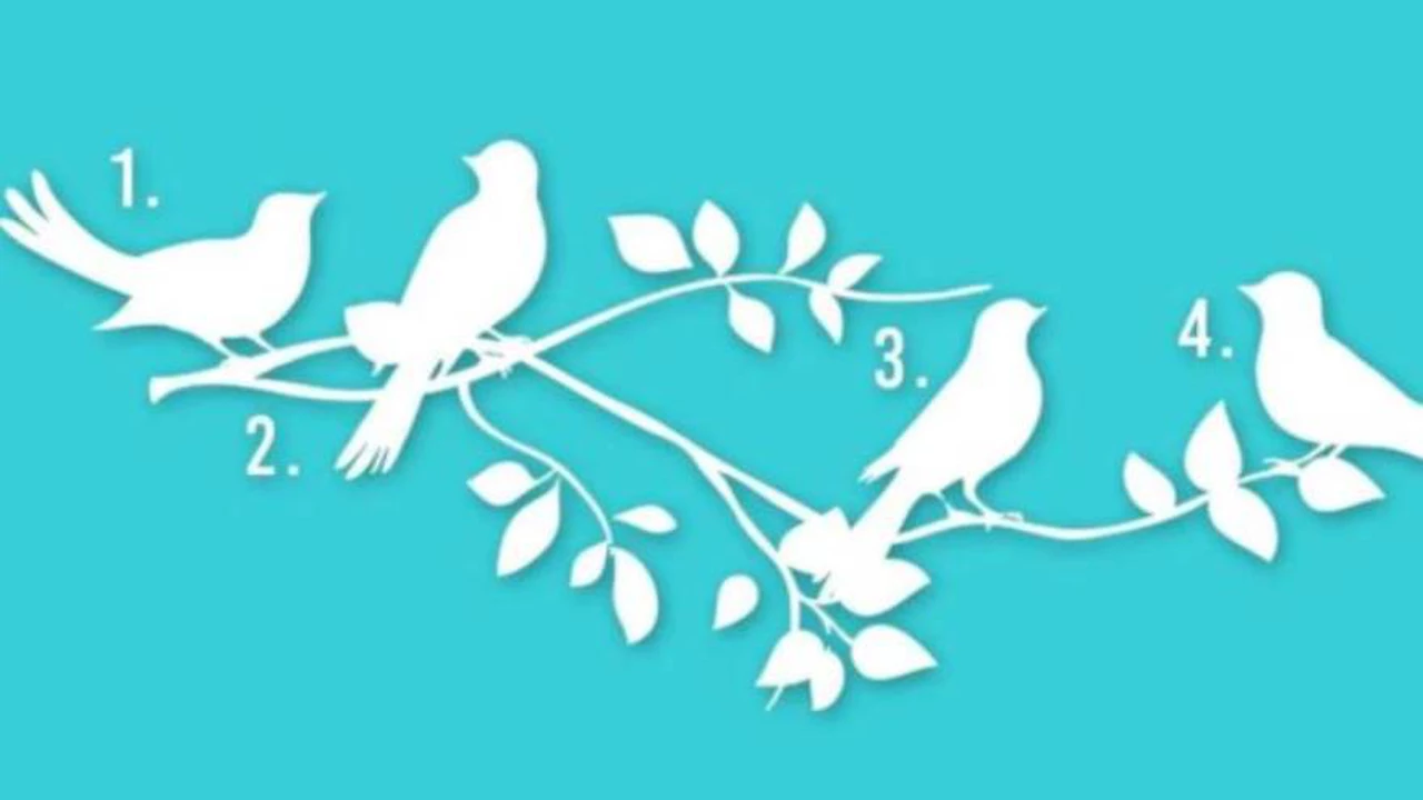 Test de los pájaros: ¿cuál es tu propósito en la vida?