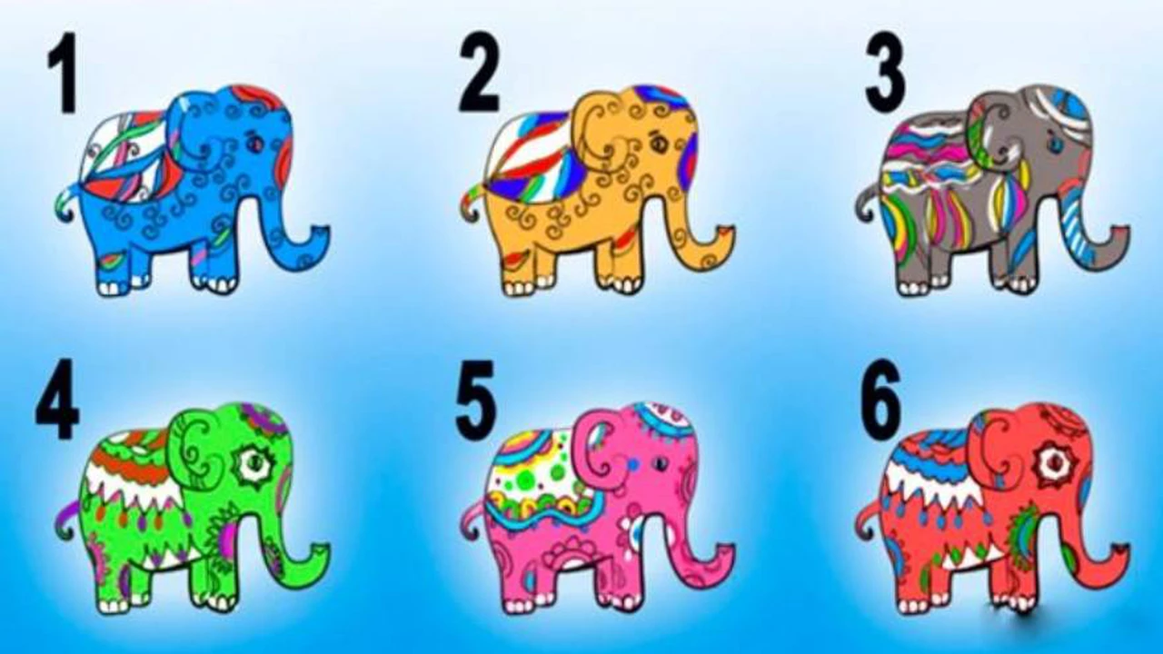 Test de los elefantes: ¿querés conocer detalles ocultos de tu carácter?