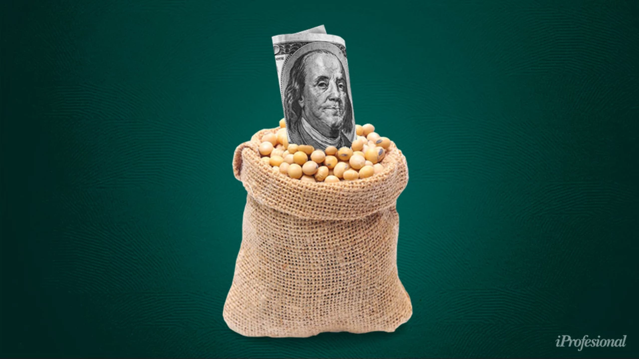 Cerealeras liquidaron 100 millones USD pero igual el Banco Central volvió a perder reservas