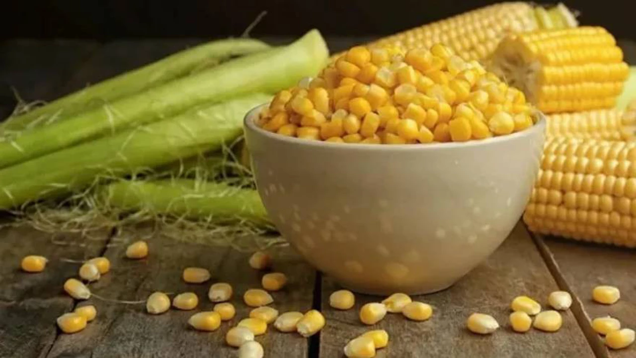 ¿Lo sabías?: este es el motivo por el que el cuerpo nunca puede digerir los granos de maíz