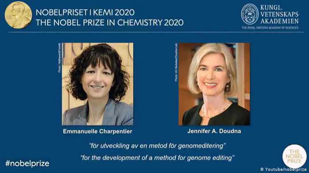 Dos mujeres ganan Premio Nobel de Química 2020: ¿Por qué su descubrimiento es considerado "revolucionario"?
