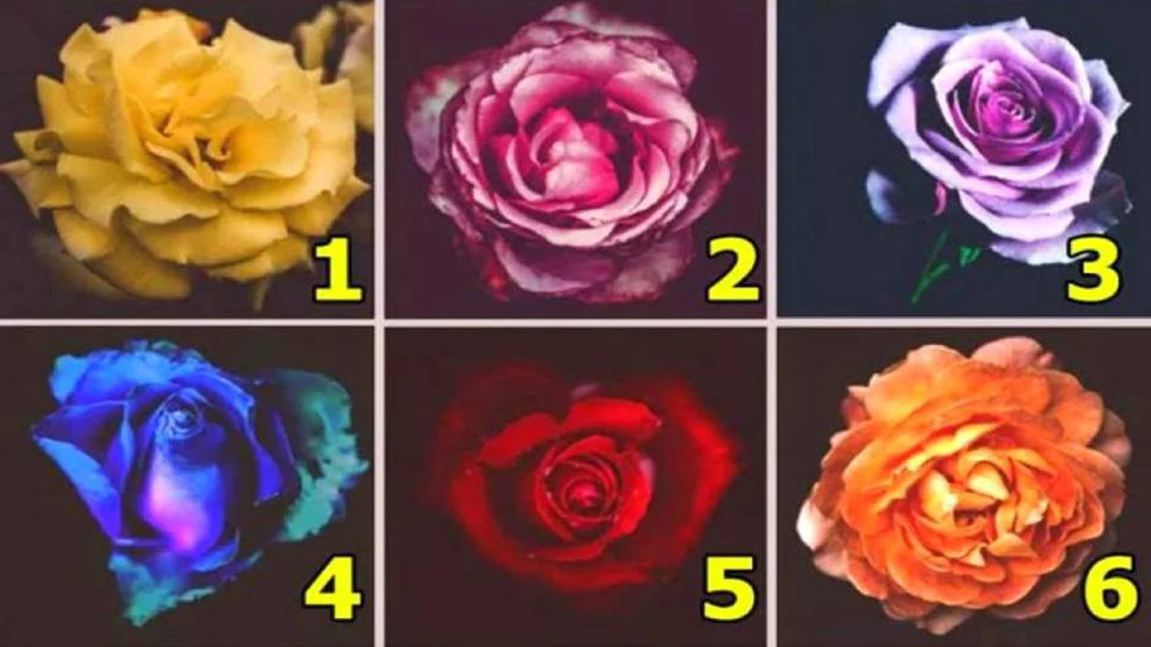 El test de las rosas: descubrí quién sos realmente en tu interior