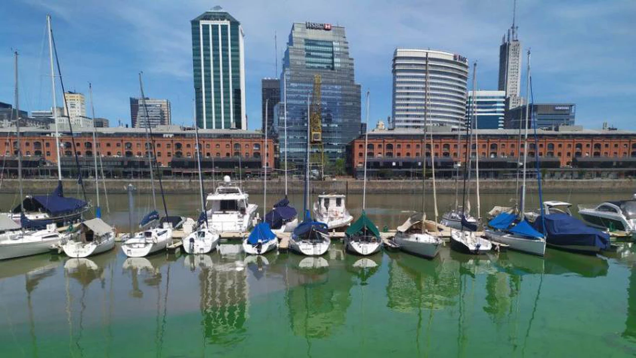 ¿Por qué el agua del Río de la Plata está de color verde?: expertos analizarán su toxicidad