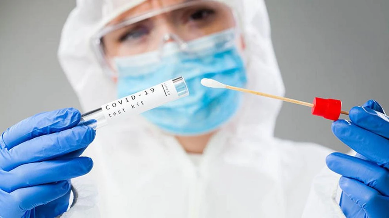 ¿Hasta cuándo pueden durar las defensa contra el coronavirus?: este estudio lo reveló
