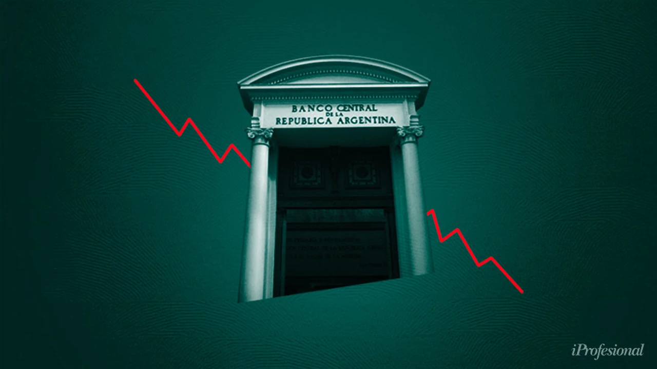 Clave para la economía: en qué se fueron los dólares del Banco Central este año