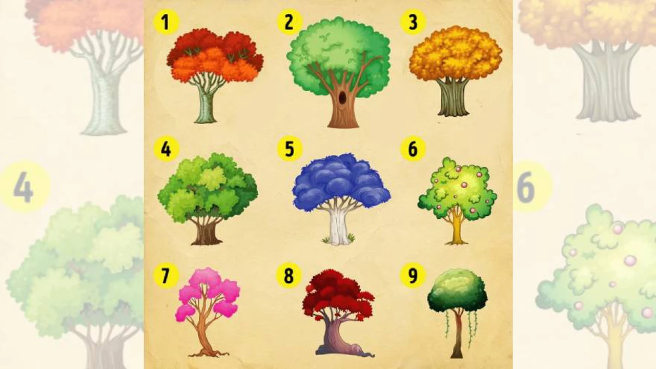 El test de los árboles: descubrí un secreto de tu personalidad y de tu futuro