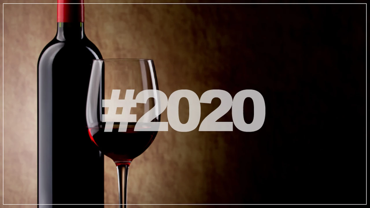Cinco hitos que marcaron a fuego la agenda del vino argentino en este 2020