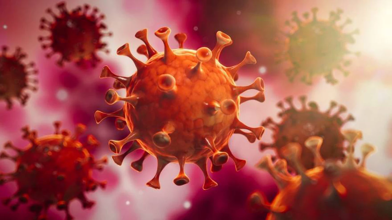 Factor determinante: revelan por qué algunos pacientes con coronavirus mueren y otros ni tienen síntomas