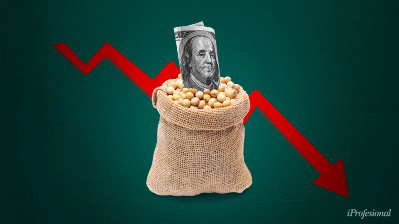 Se derrumbó la soja: el precio bajó más de un 8% y retrocedió a menos de u$s500 la tonelada