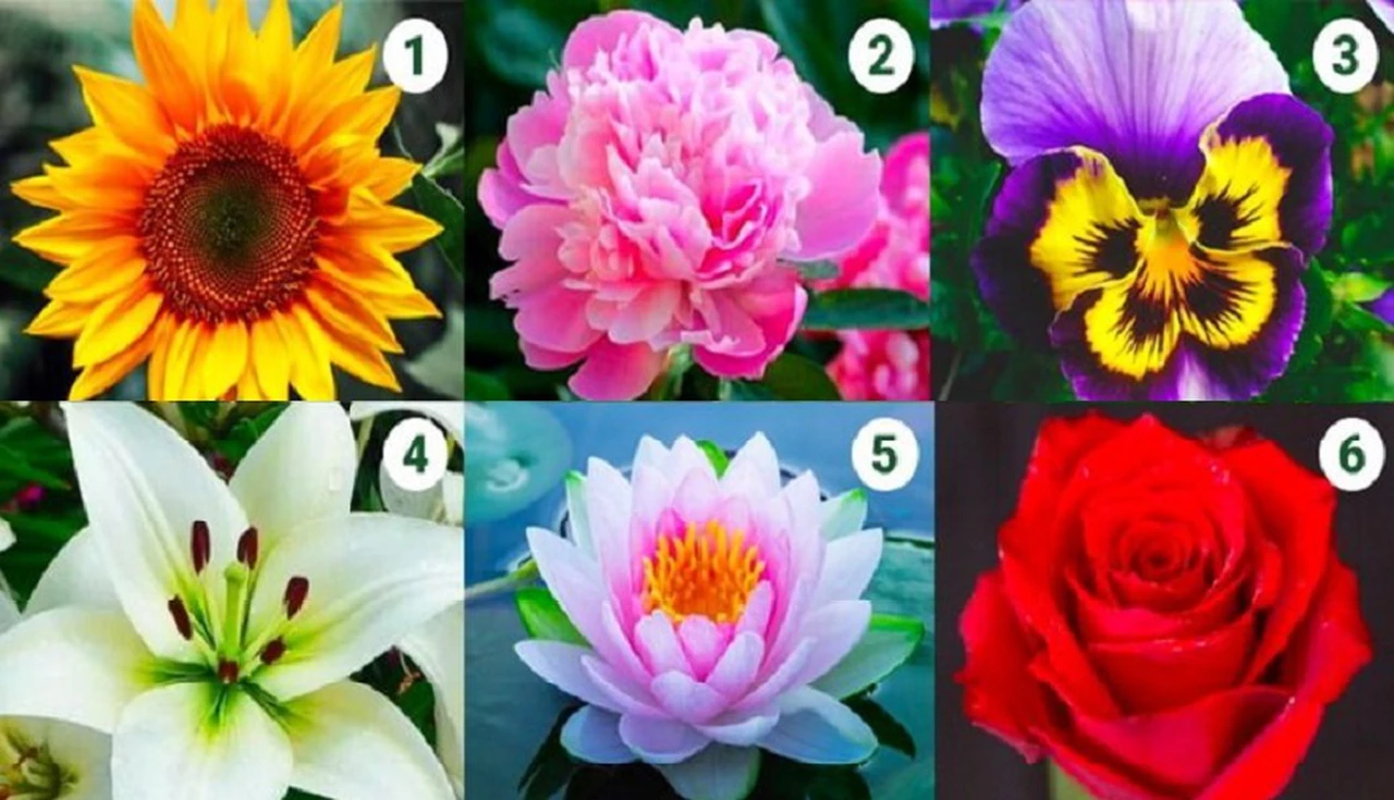 Test de personalidad: la flor que elijas indica aspectos profundos de tu forma de ser