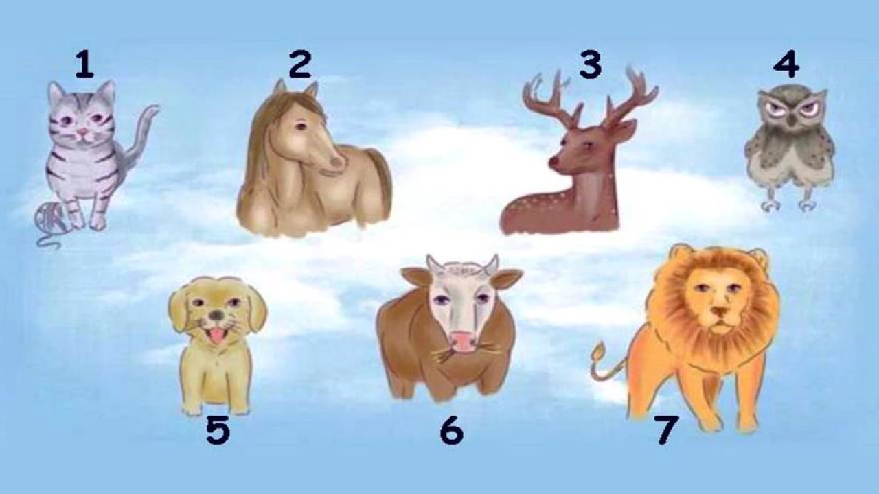 El test de los animales: ¿cuál es el rasgo más llamativo de tu personalidad?