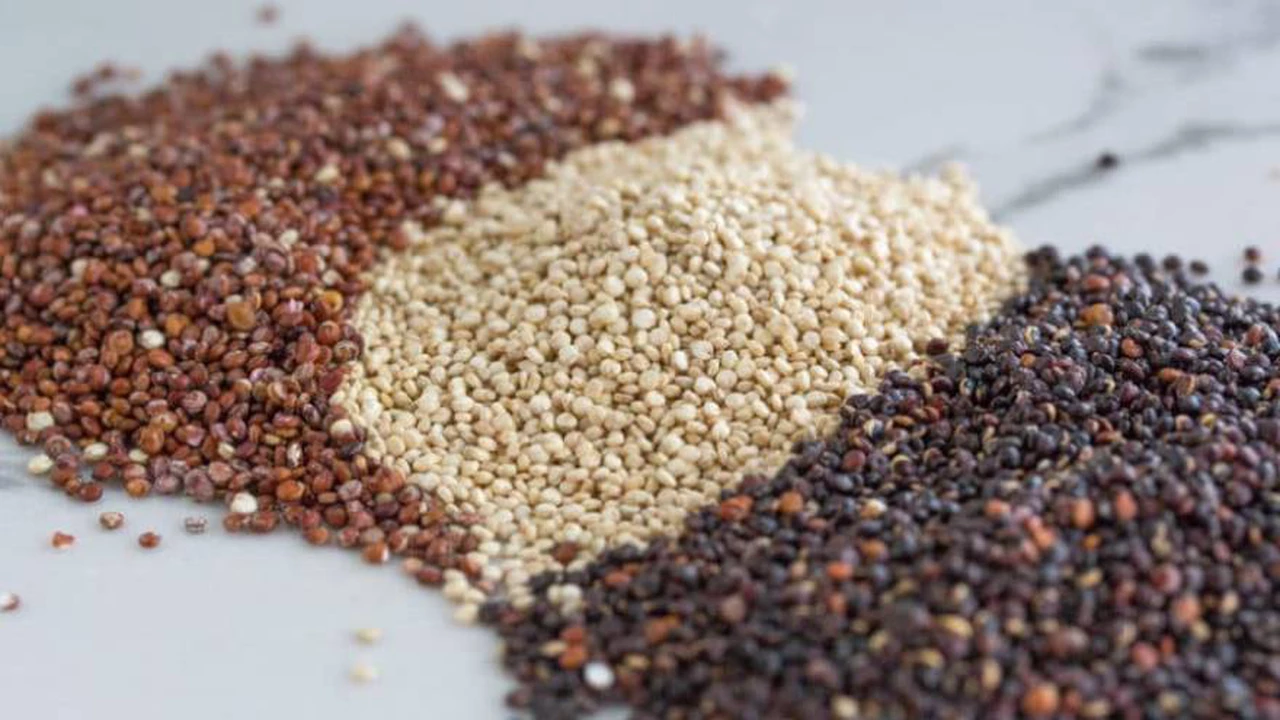 Quinoa: frías, tibias y calientes, estas 10 recetas revolucionarán tu dieta