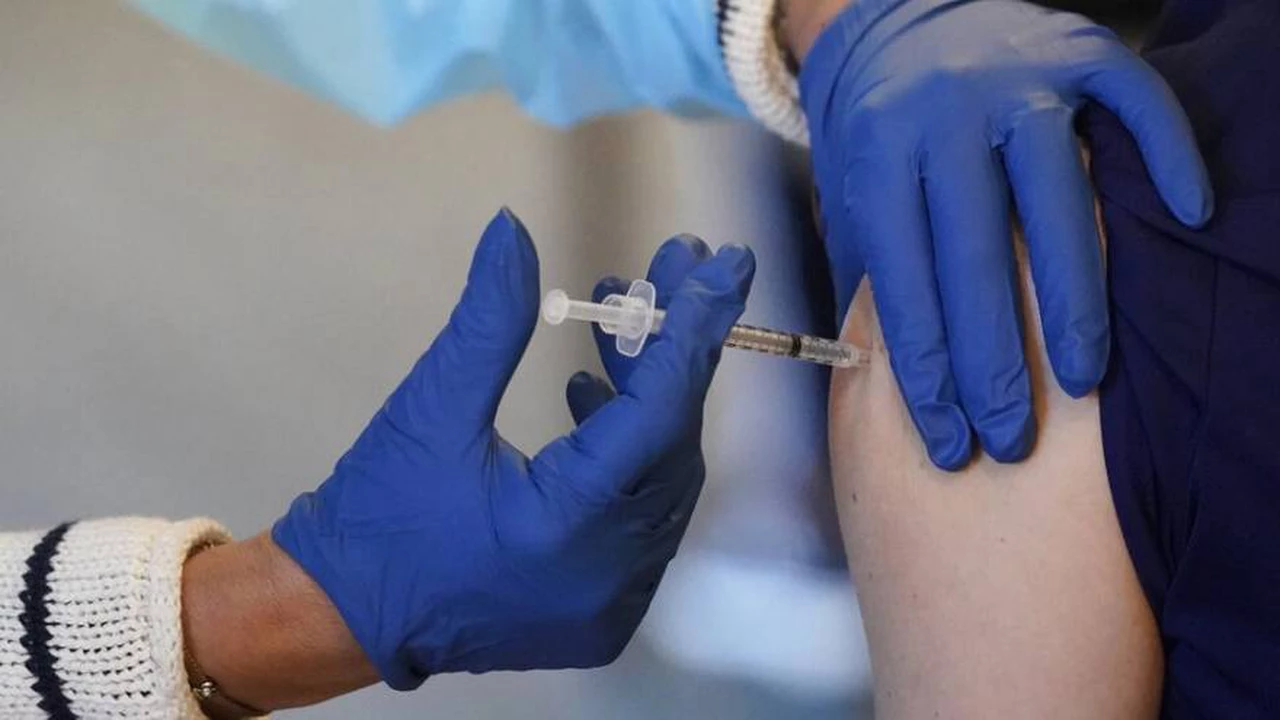 Ciencia local: Argentina podría tener una vacuna nacional contra el coronavirus