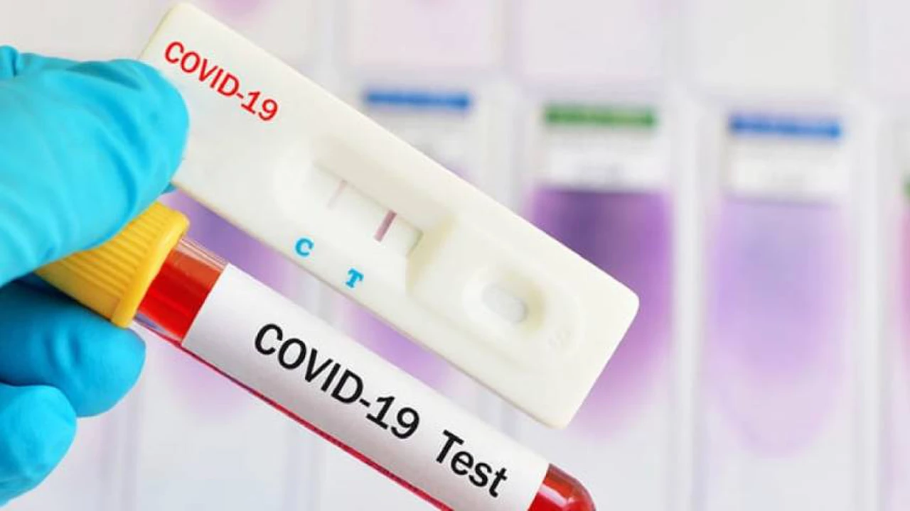 Estudio: qué grupos sanguíneos tienen más protección frente al Covid-19