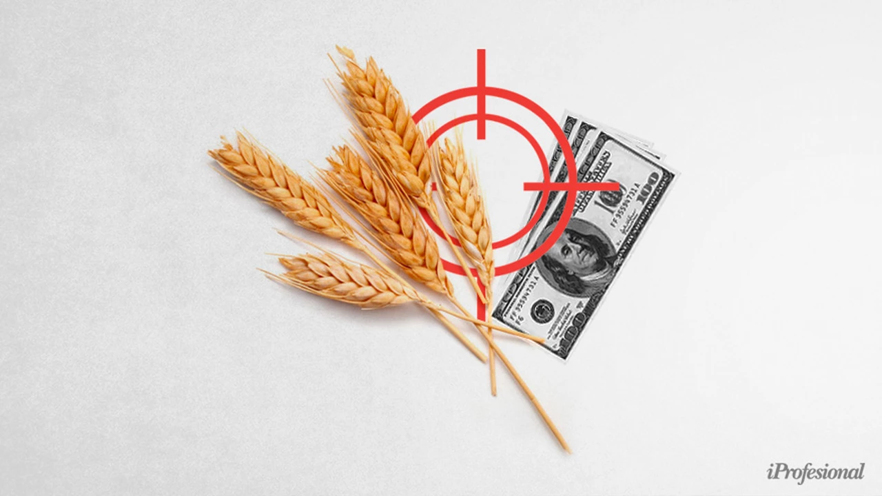 Guerra Rusia - Ucrania: se disparan los precios del agronegocio y este es el escenario para Argentina