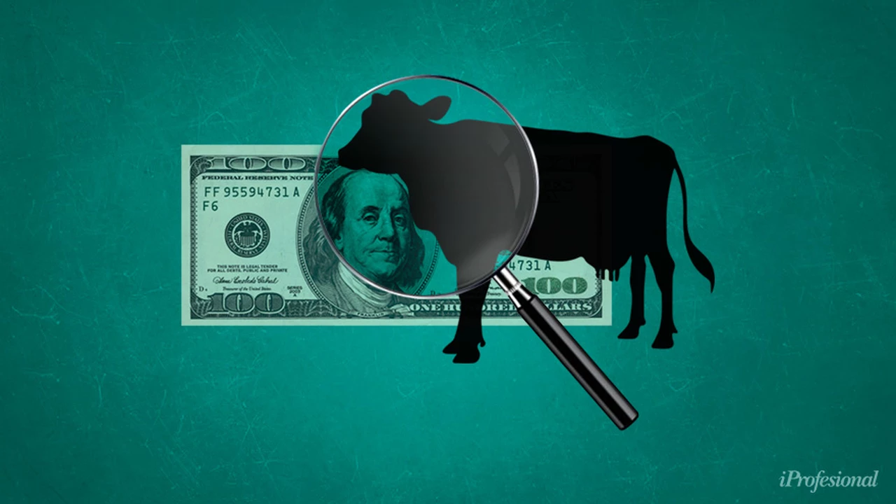 La "vaca loca" golpea a las exportaciones de carne de Brasil: ¿oportunidad para la Argentina?