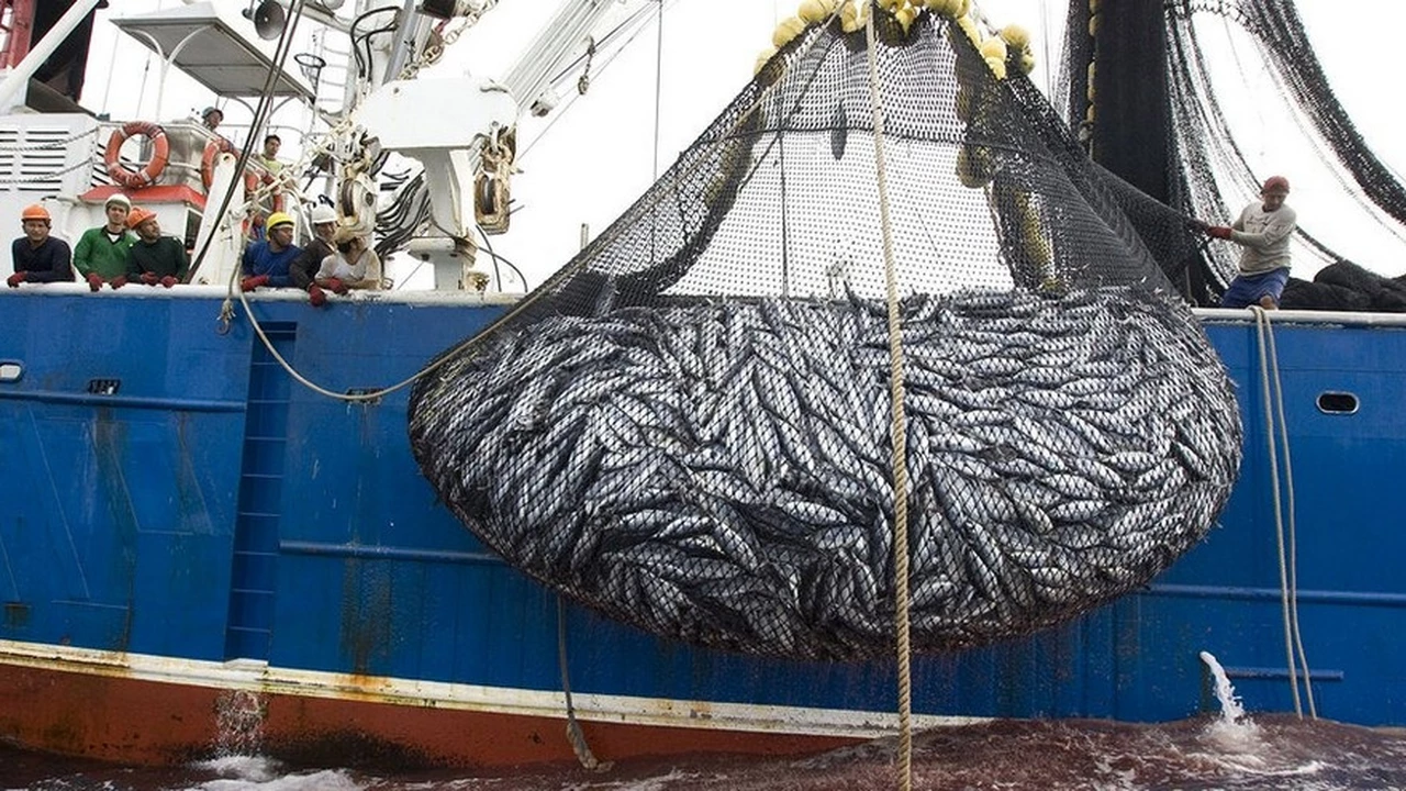 El sector pesquero liquidará más de u$s300 millones en los próximos 45 días
