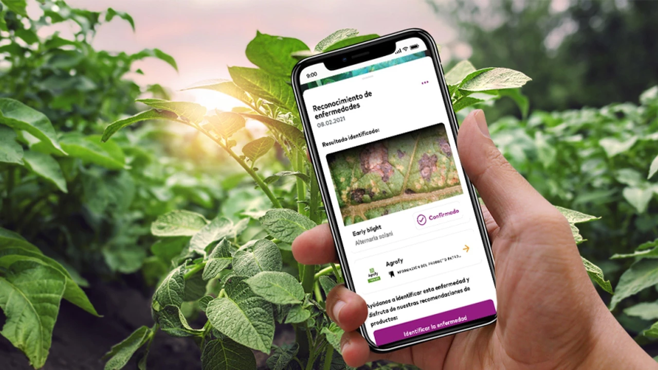 Agrofy y Xarvio se unen para darle más soluciones digitales al agro