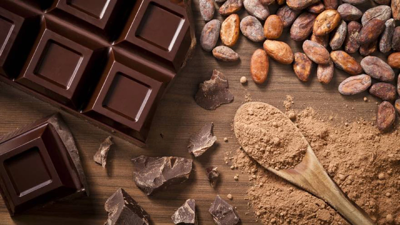 ¿Te gusta el chocolate? 5 beneficios de comer este delicioso alimento