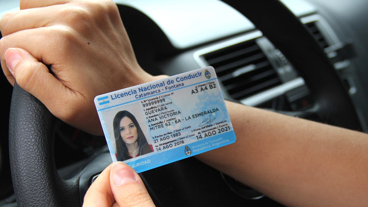 Proponen modificar la Ley de Tránsito: cuáles serán los cambios para la licencia de conducir