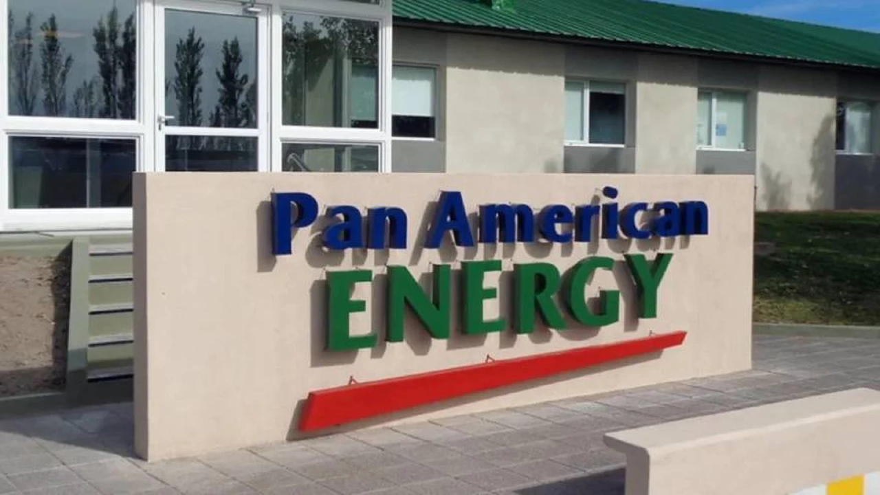Pan American Energy, principal petrolera privada del país, sale a buscar inversiones: para qué busca financiamiento