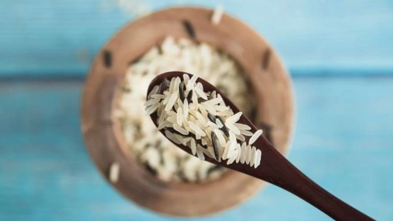 ¿Qué son y por qué aparecen los gorgojos en el arroz, los fideos y las legumbres?