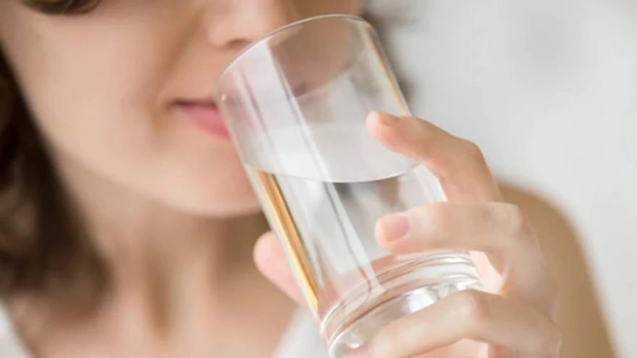 La respuesta definitiva: ¿cuánta agua tenés que tomar por día para estar saludable?
