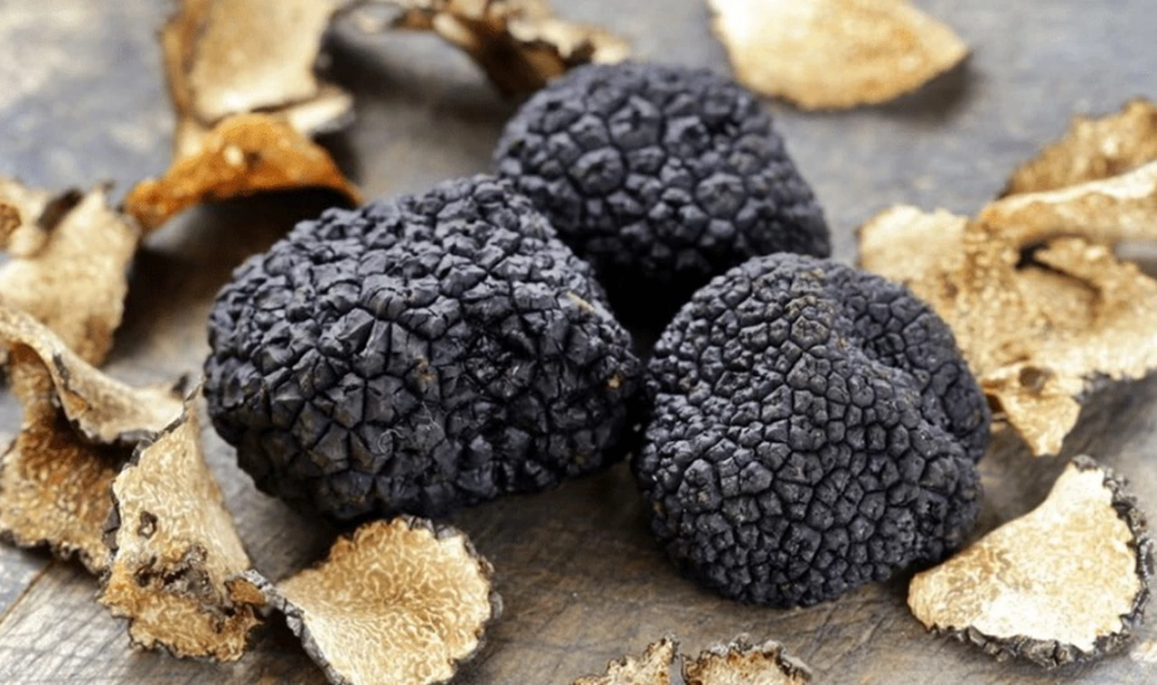 Trufas, el "diamante negro" de la gastronomía cuya producción se expande en la Argentina