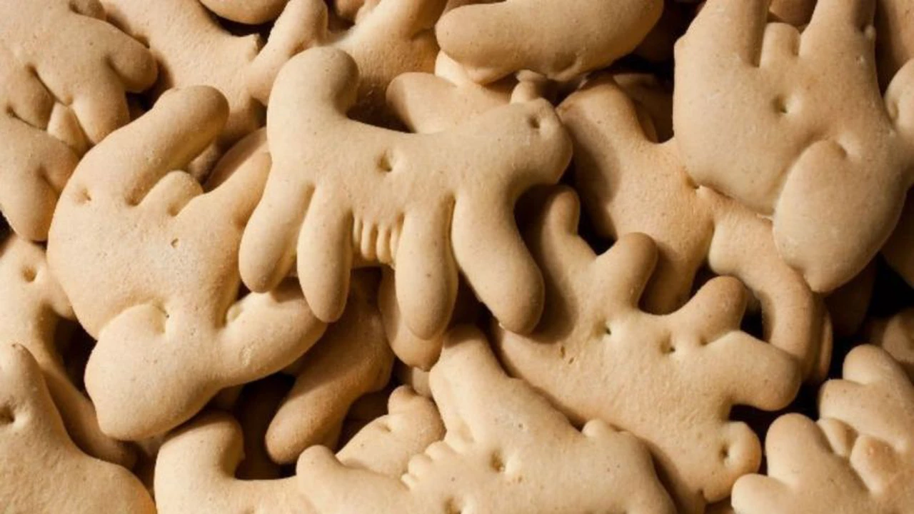Insólito: veganos piden que se prohíban las galletas con formas de animales, ¿cuáles son los argumentos?