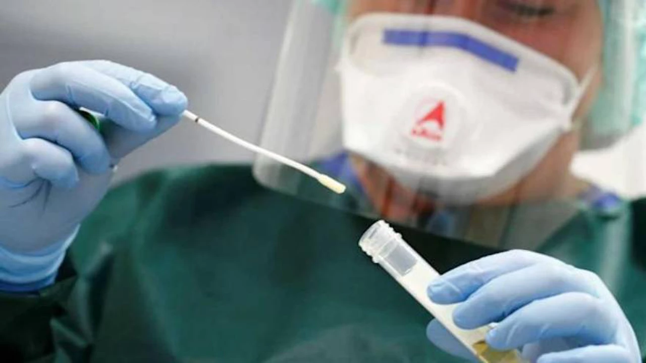 Coronavirus: se detectaron 22.420 casos y 357 fallecidos en las últimas 24 horas