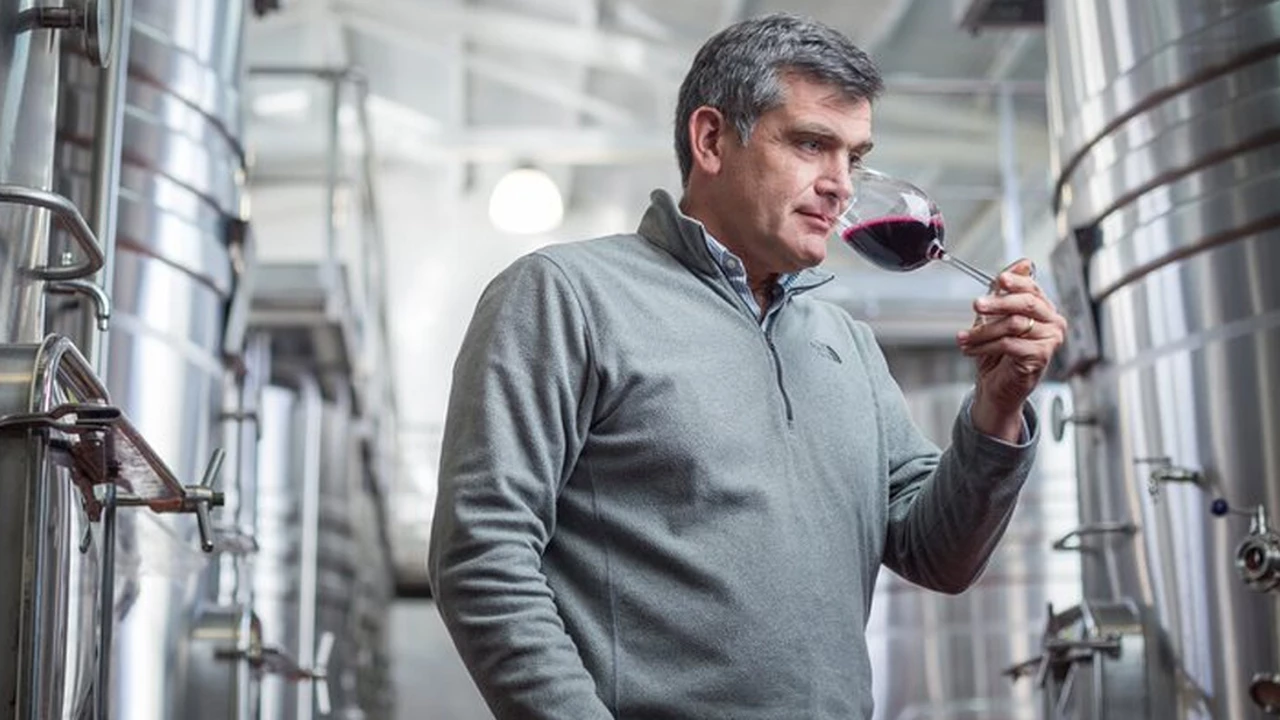 ¿Por qué los vinos Pinot Noir fascinan a los enólogos?: reconocidos expertos lo revelan