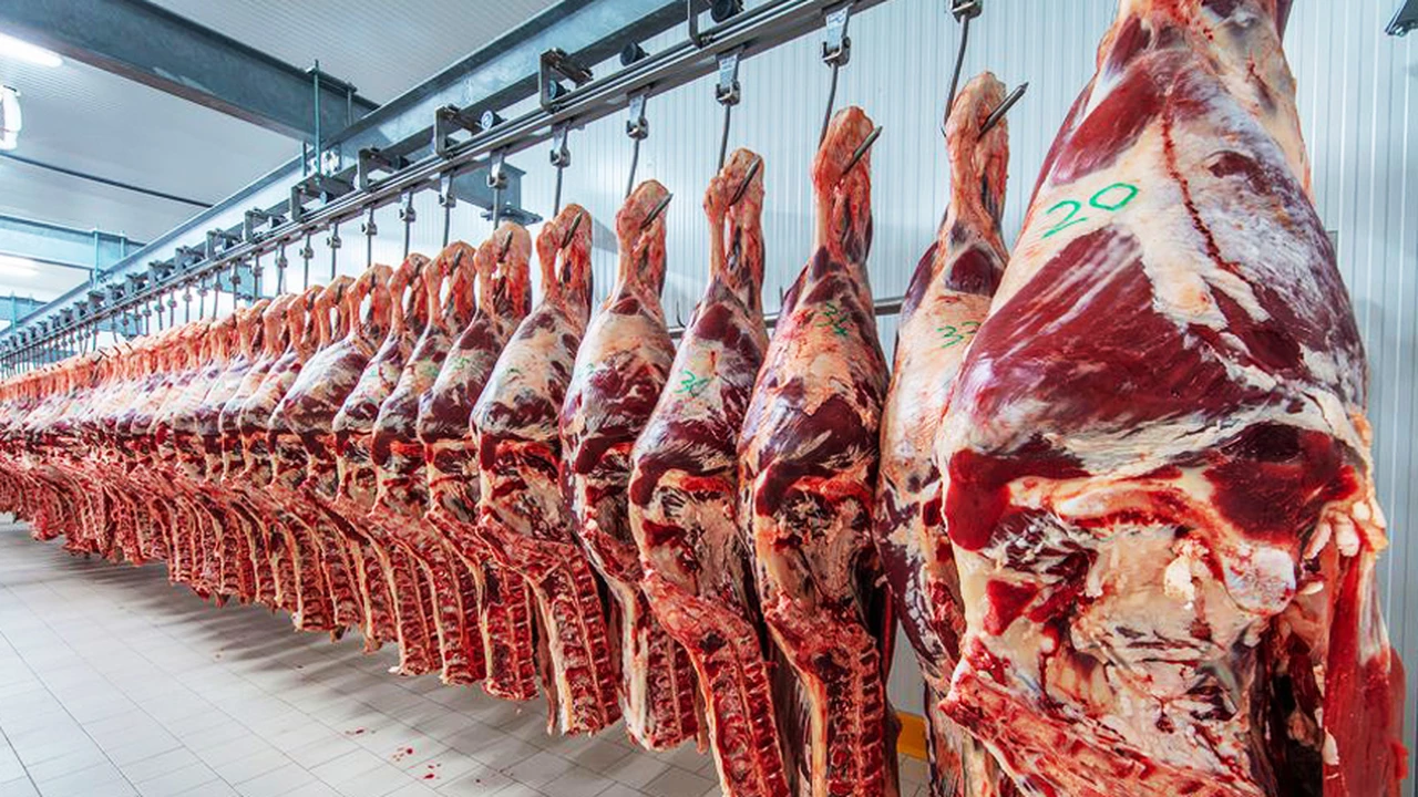 Evasión en carne: dan de baja a seis empresas exportadoras