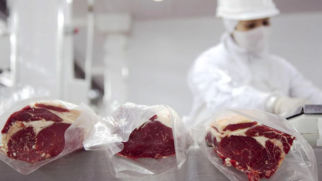 Se derrumban las exportaciones de carne bovina: cayeron más del 30 por ciento en octubre