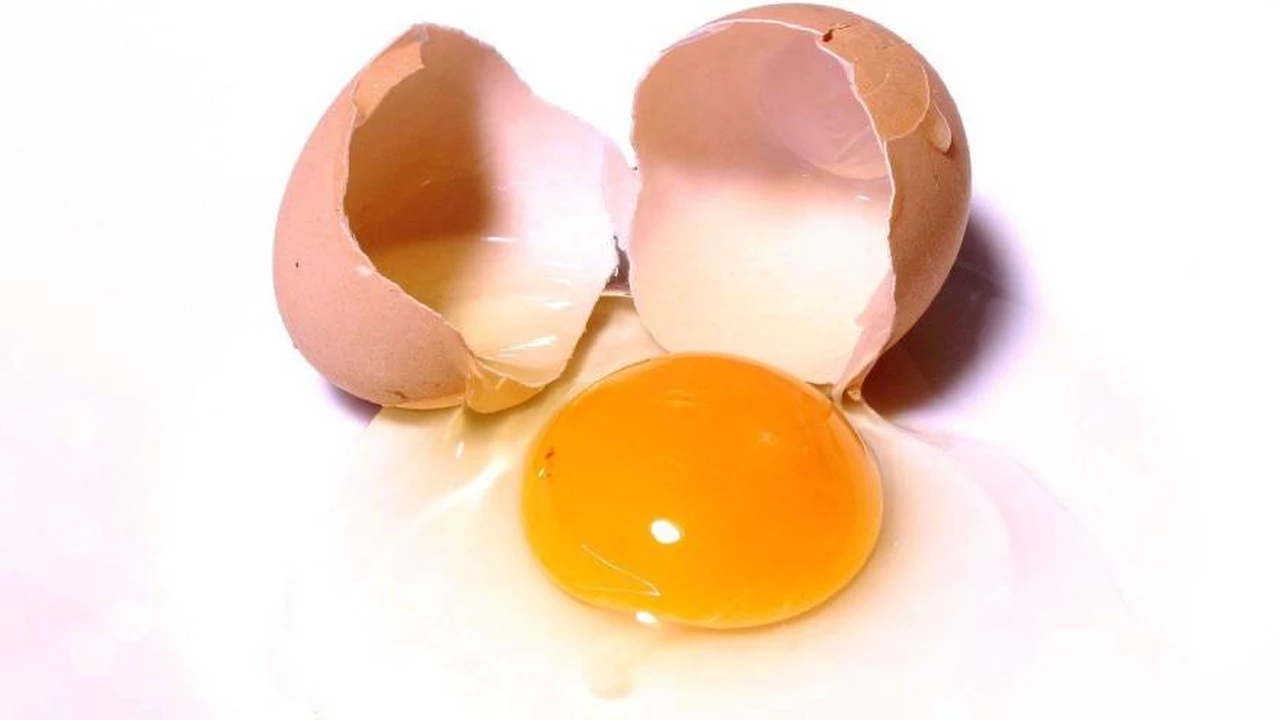 ¿Existe algún modo de saber si la yema del huevo tiene salmonella?