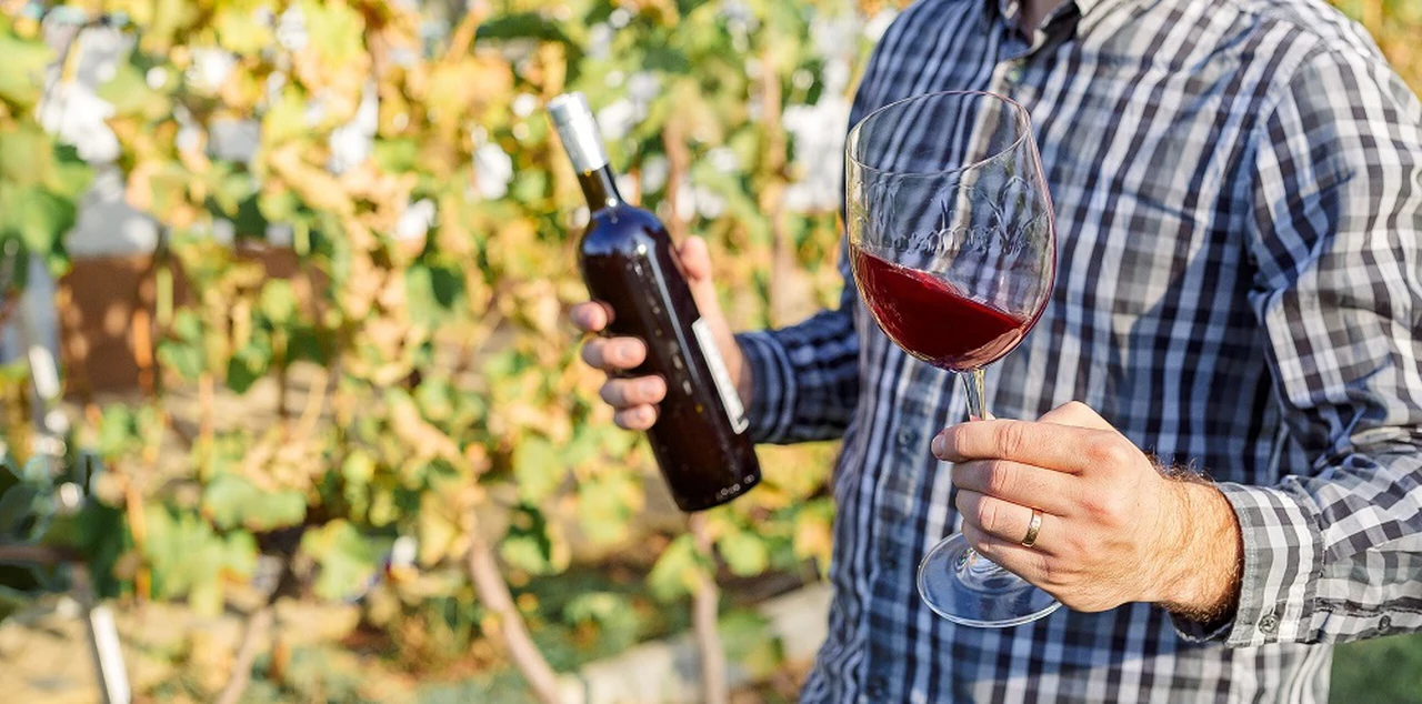 El INV apoyará programas educativos especializados en el área vitivinícola
