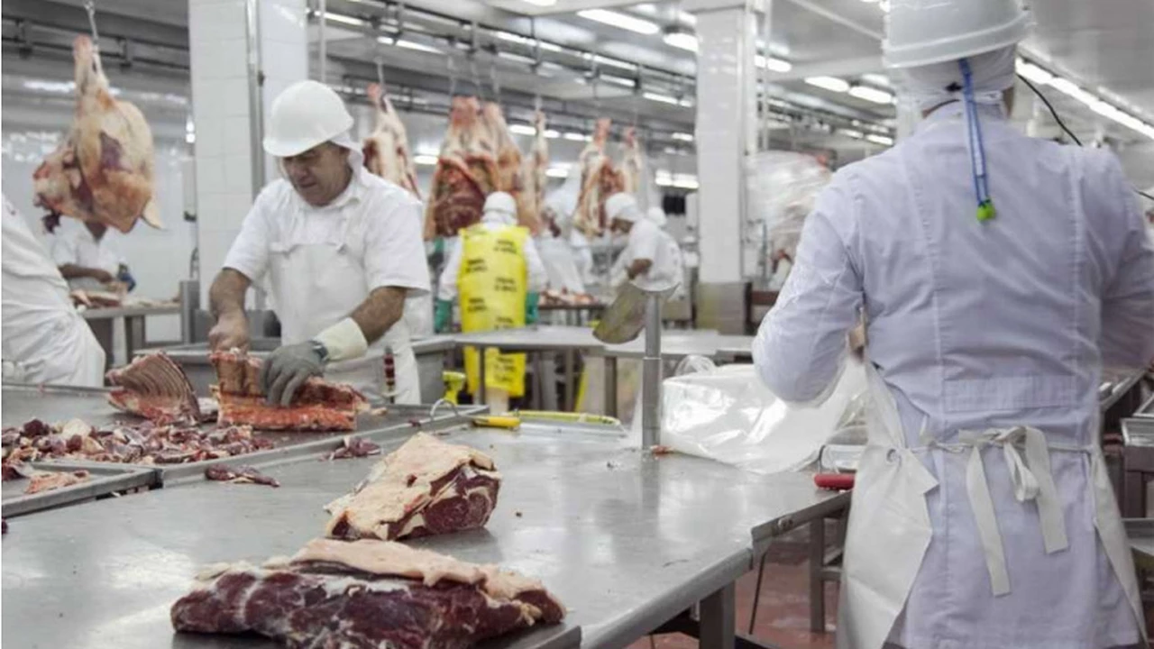 El Gobierno quitará las restricciones para exportar carne si se estabiliza el precio